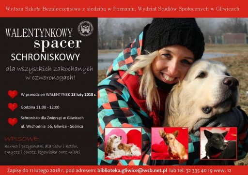 Walentynkowy Spacer Schroniskowy