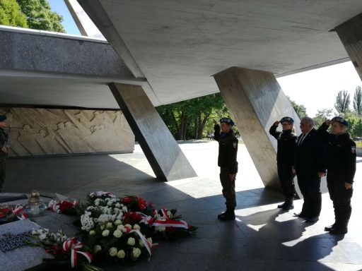 Dzień zakończenia II Wojny Światowej w Europie
