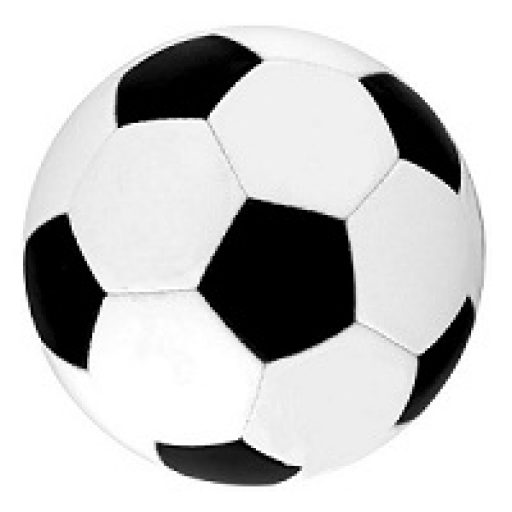 Walentynki Cup 2019 – WNS Skoczów