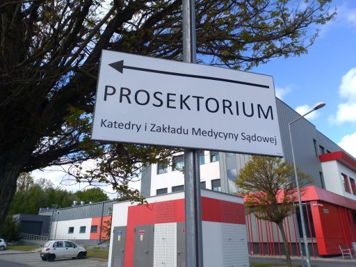 Zajęcia praktyczne – wizyta w Prosektorium
