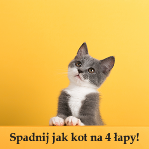Koty zawsze spadają na 4 łapy!