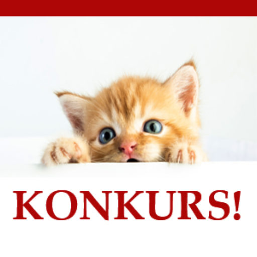 Konkurs dla Studentów WSB