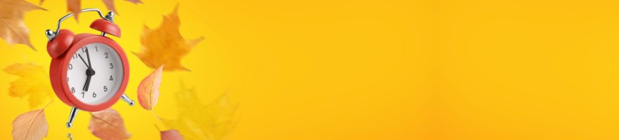 Banner image