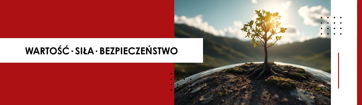 wsb baner