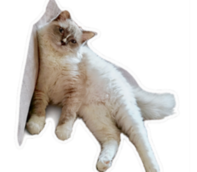 Banner image
